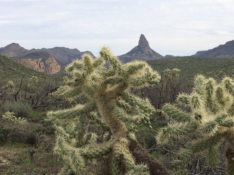 Dutchman's Trailhead image 4