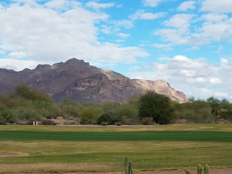 Friendly Cruises image 1