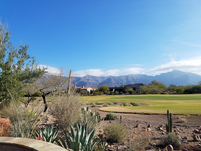 Friendly Cruises image 4