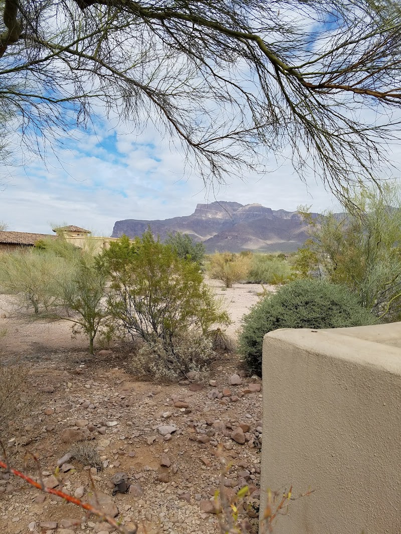 Friendly Cruises image 5