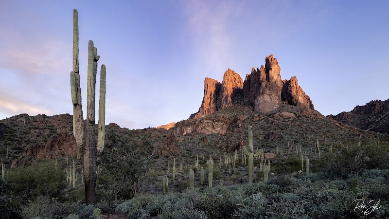 Lost Goldmine Trailhead and Cougar loop image 1