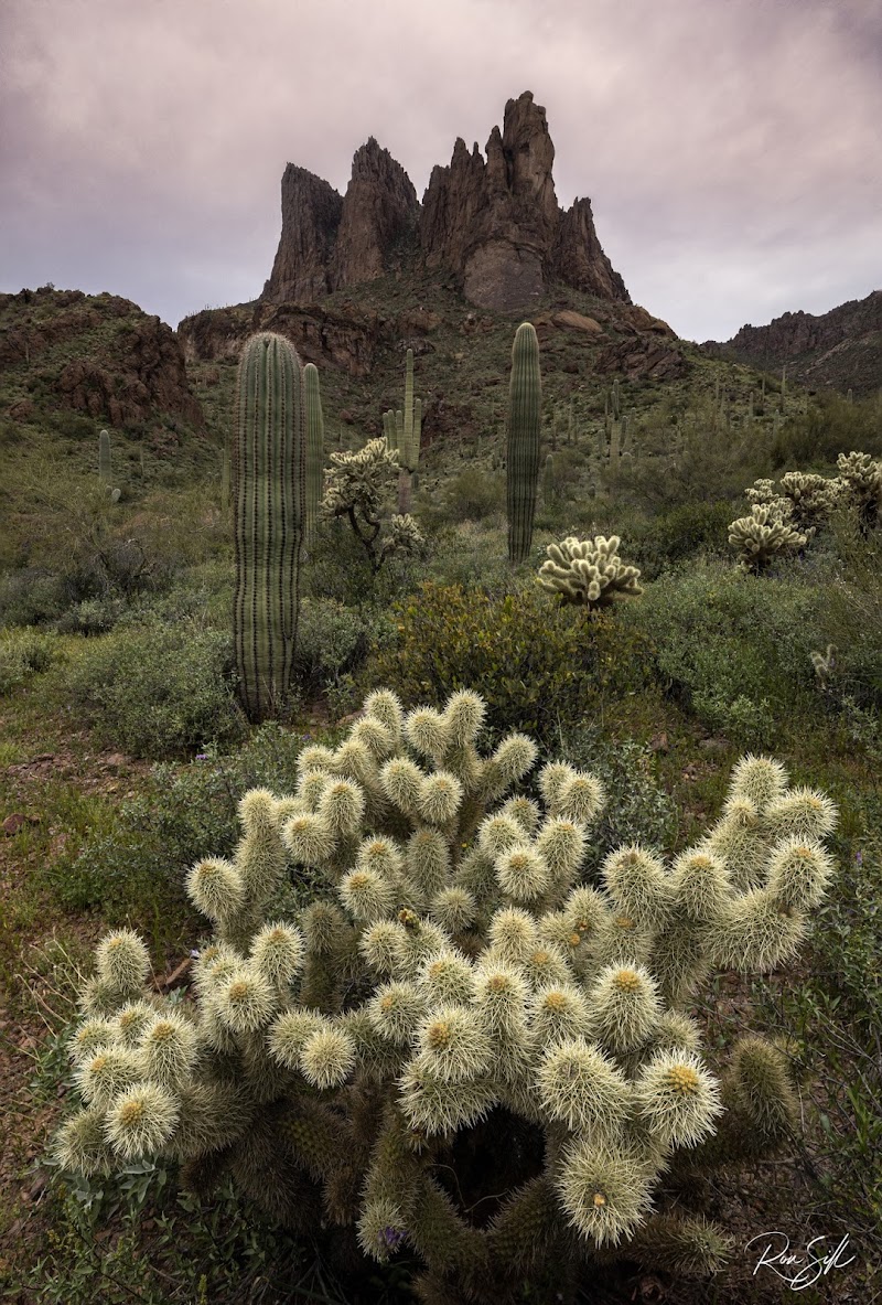 Lost Goldmine Trailhead and Cougar loop image 2
