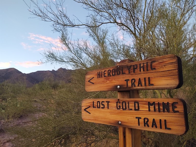 Lost Goldmine Trailhead and Cougar loop image 5