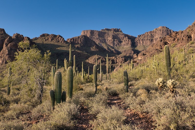 Broadway Trailhead image 1