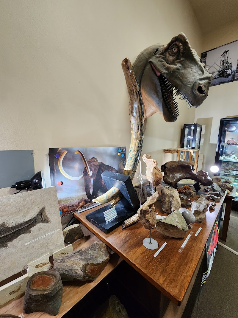 Mammoth Mine Rock Shop Gallery Image