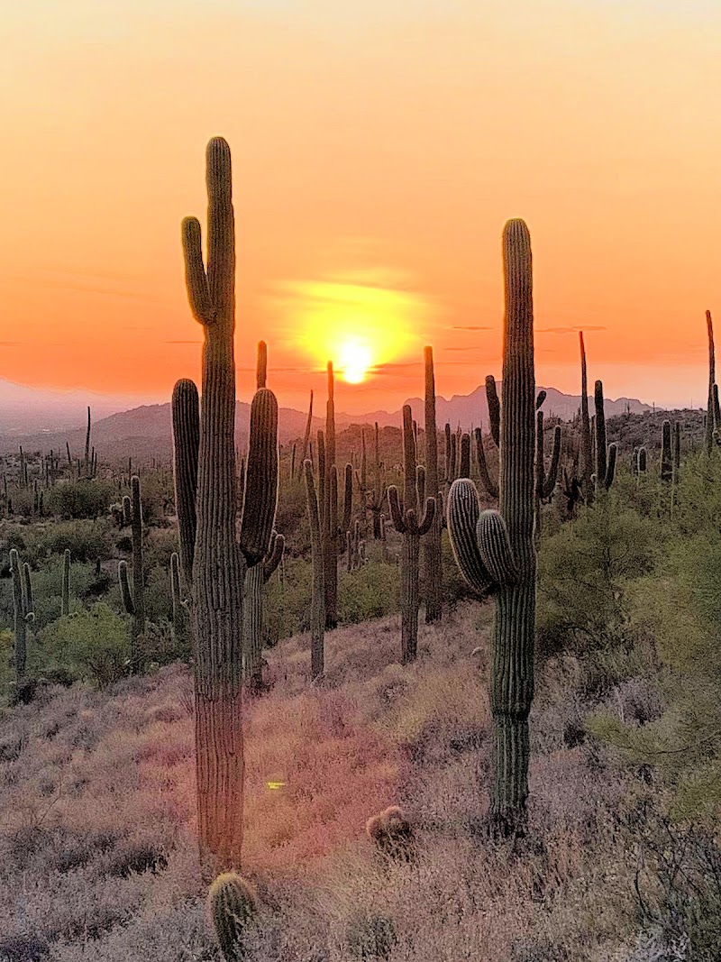 Lost Goldmine East Trailhead image 1