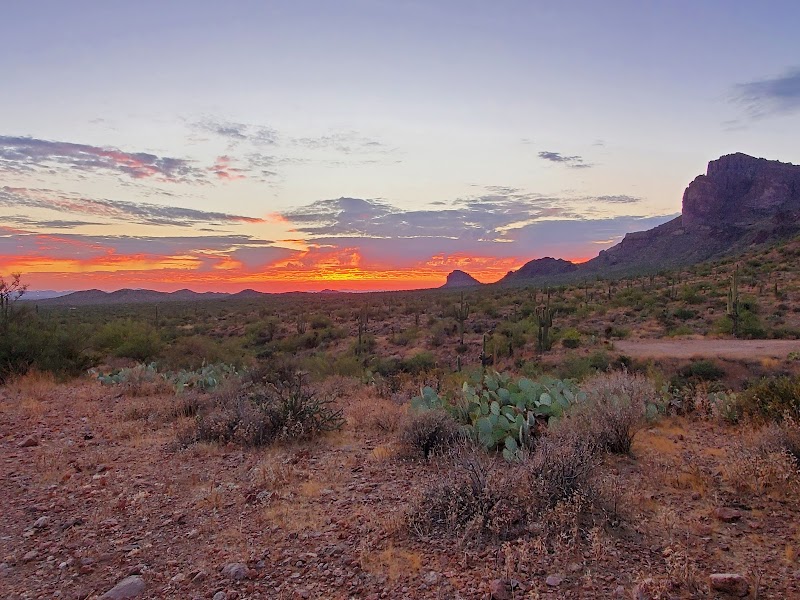 Lost Goldmine East Trailhead image 4