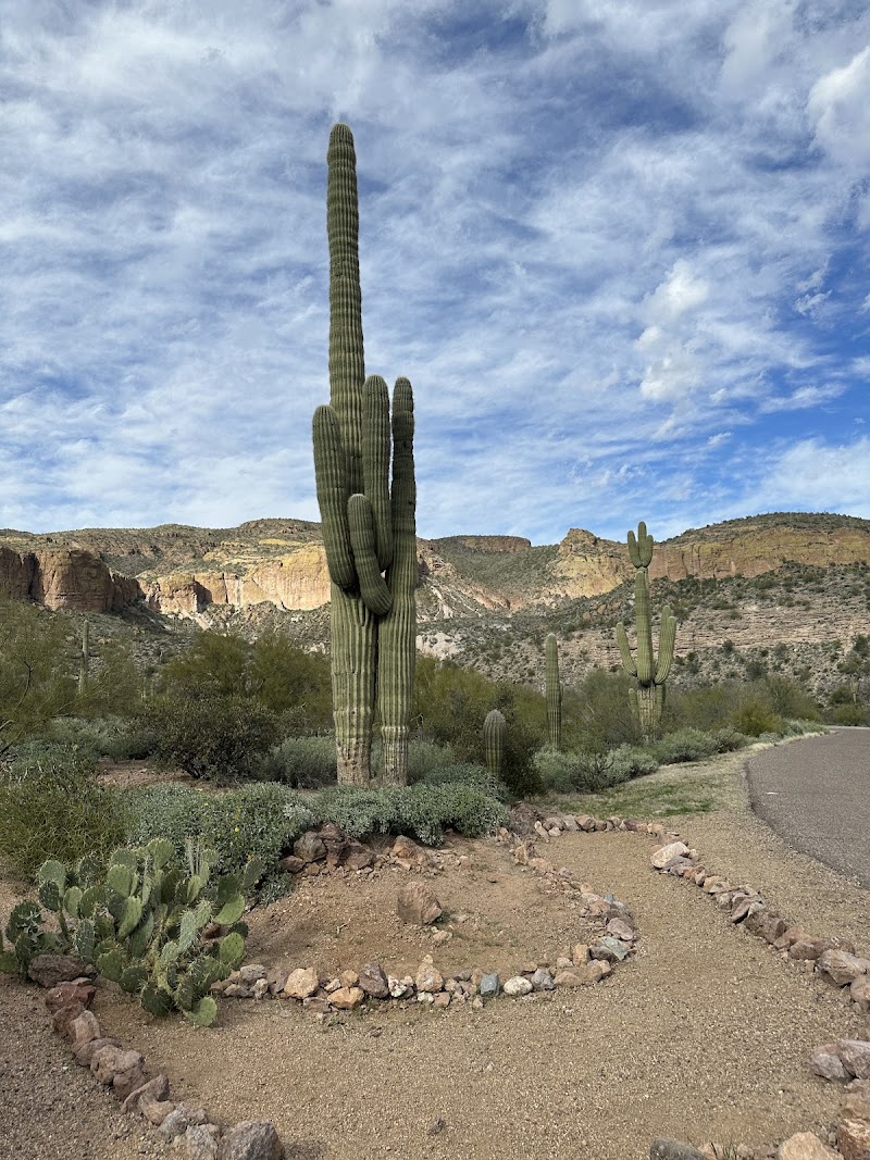 Tortilla Flat Recreation Site image 4