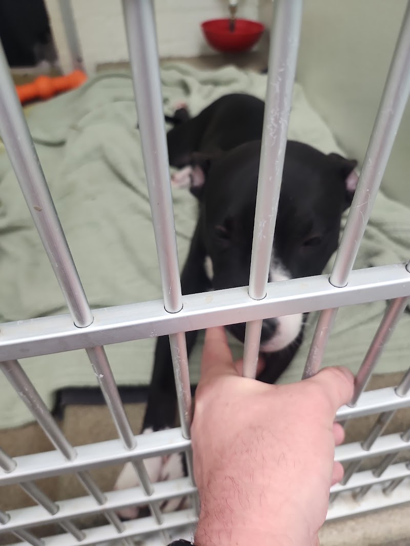 Arizona Humane Society Sunnyslope Campus image 3