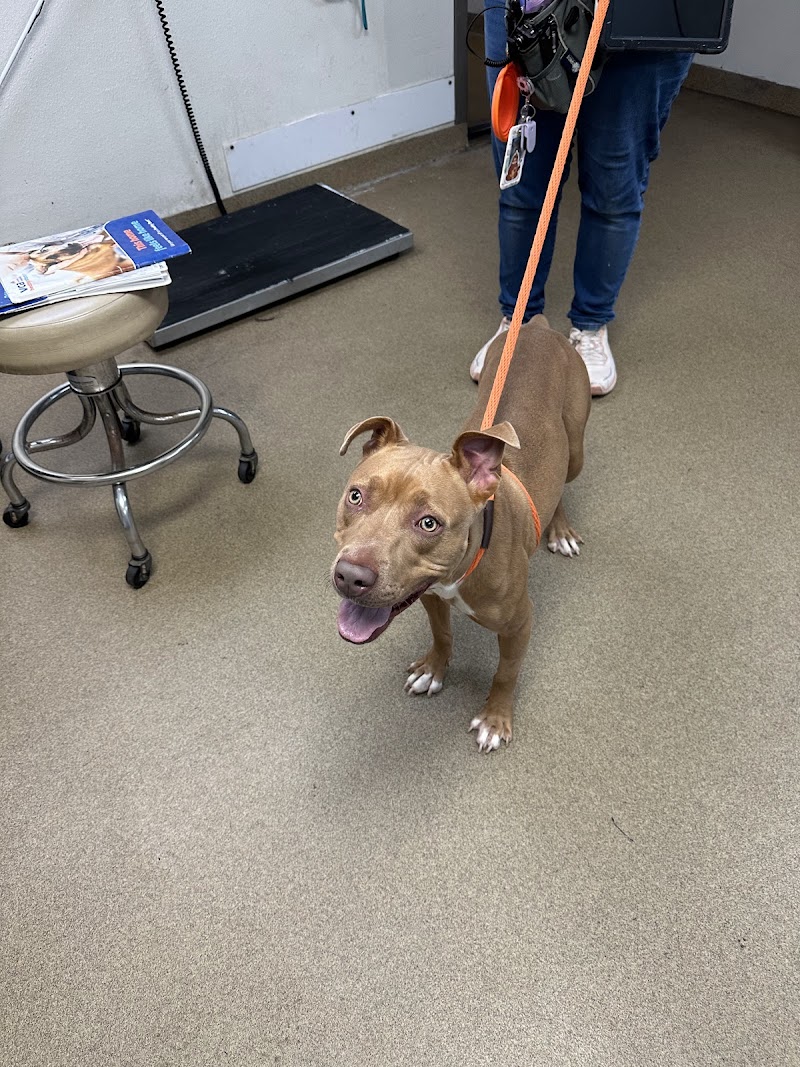 Arizona Humane Society Sunnyslope Campus image 5