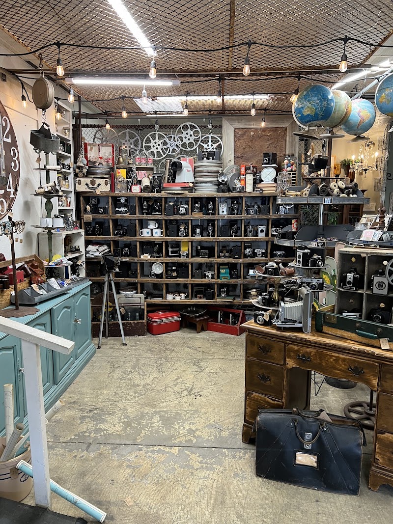 Everything Goes image 3