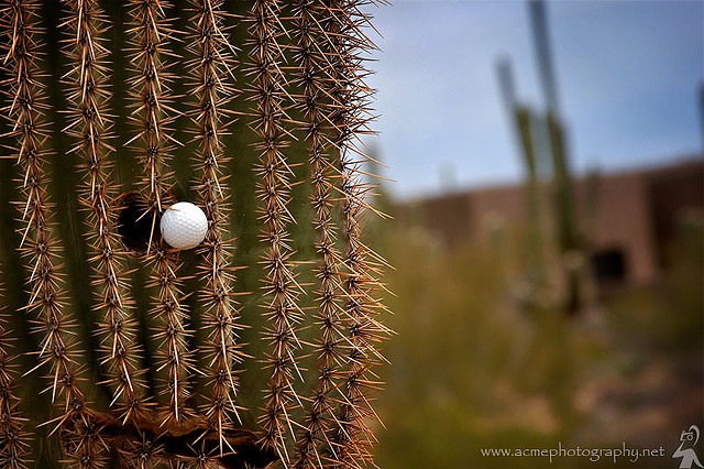 Meridian CondoResorts image 1