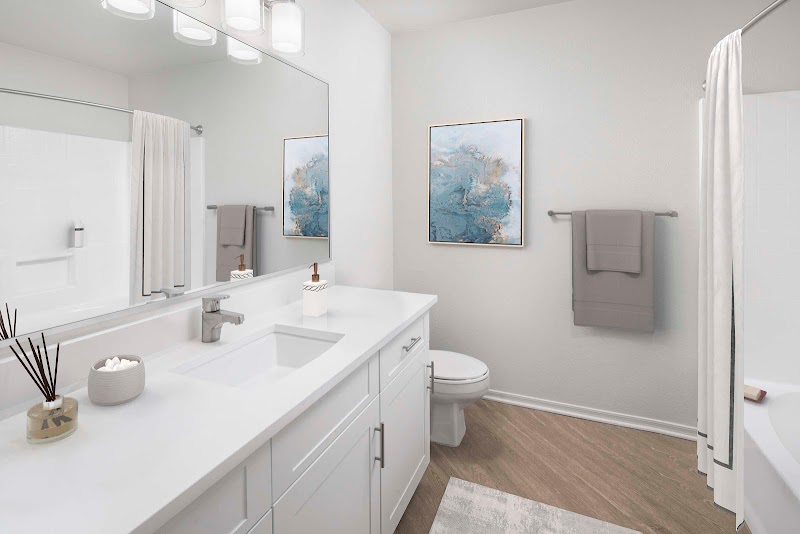 Camden San Paloma Apartments image 5