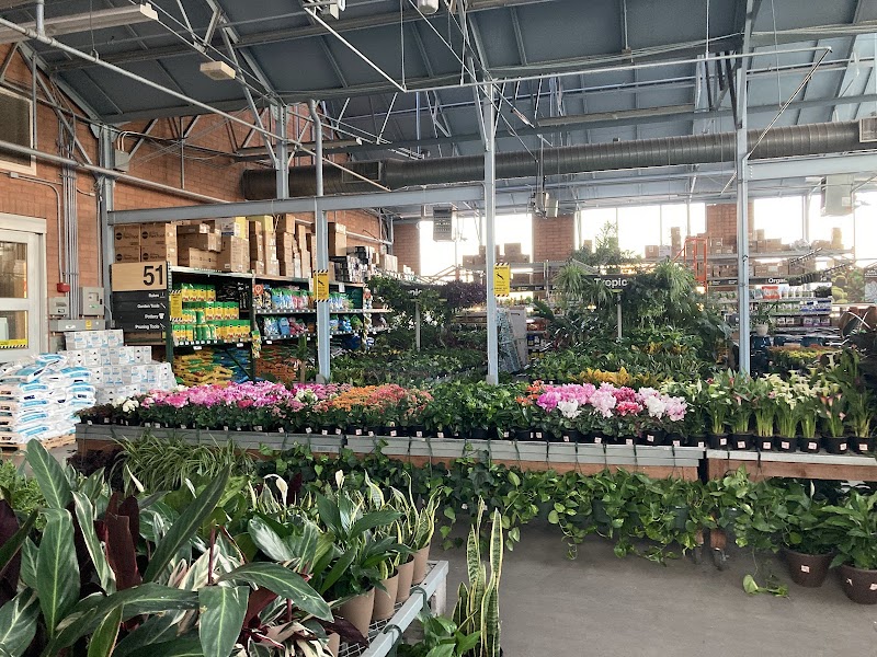 The Home Depot image 3