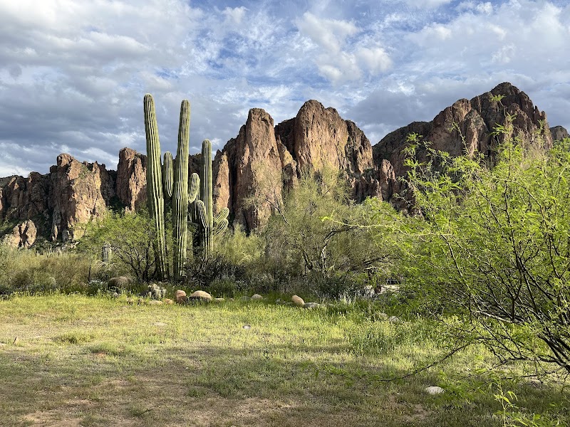 Saguaro Lake Guest Ranch image 2