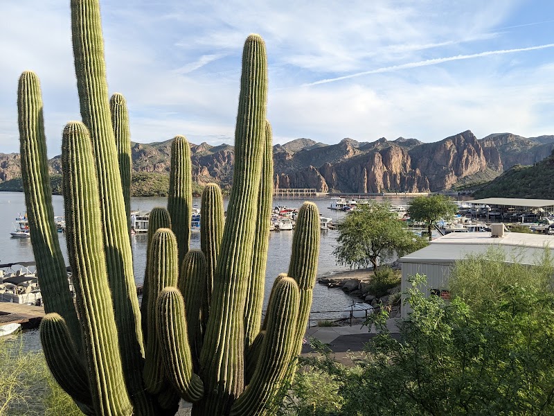 Saguaro Lake Marina image 4