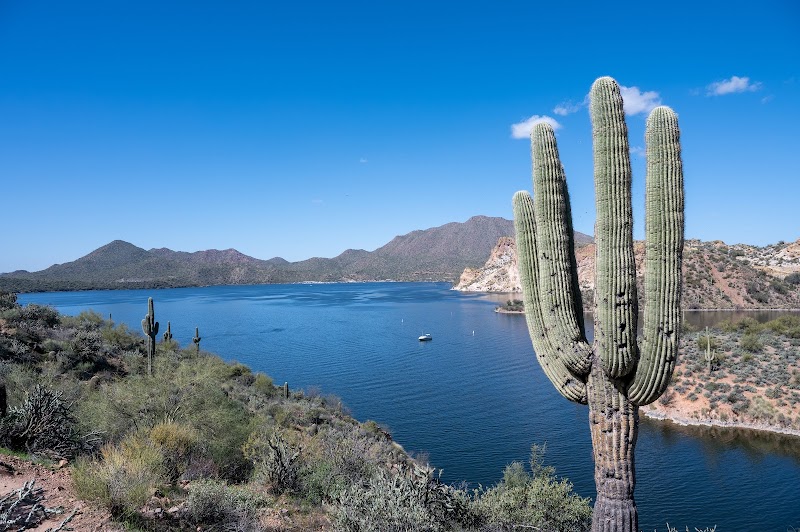 Butcher Jones Recreation Site image 5