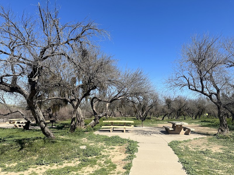 Coon Bluff Recreation Area image 1
