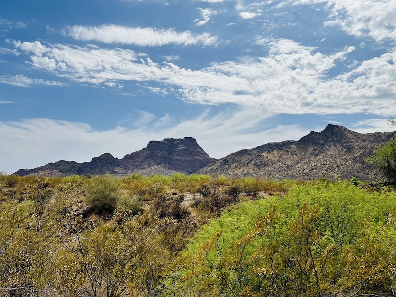 Coon Bluff Recreation Area image 5