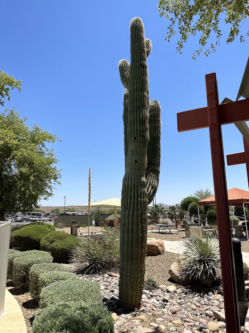 Eagle View RV Resort At Fort image 4