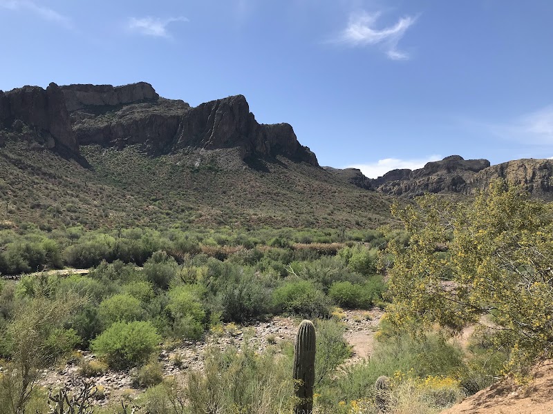 Pebble Beach Recreation Area image 3