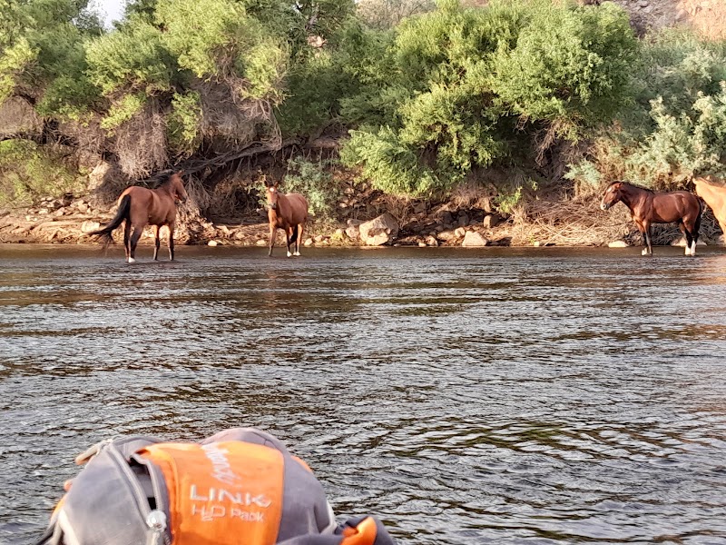 Goldfield Recreation Area image 4