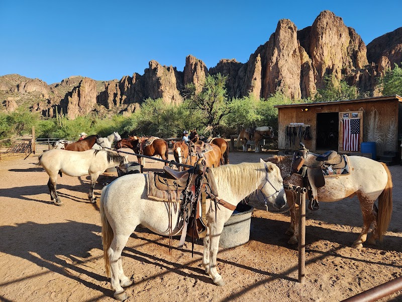 Saguaro Lake Ranch Stable image 3
