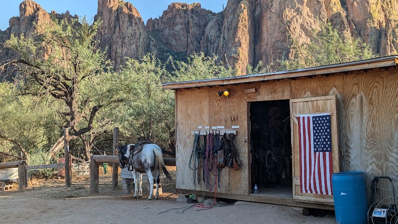 Saguaro Lake Ranch Stable image 4