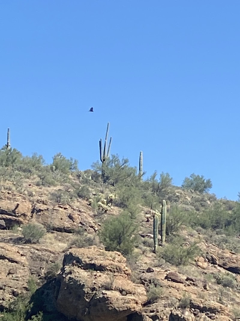 Bagley Flat Recreation Area (Boat Access Only) image 4