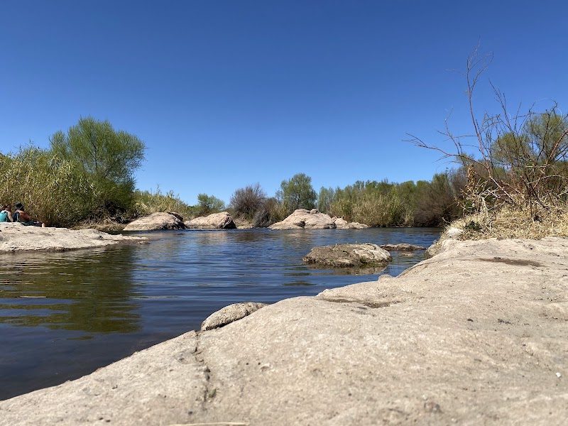 Phon D Sutton Recreation Area image 3