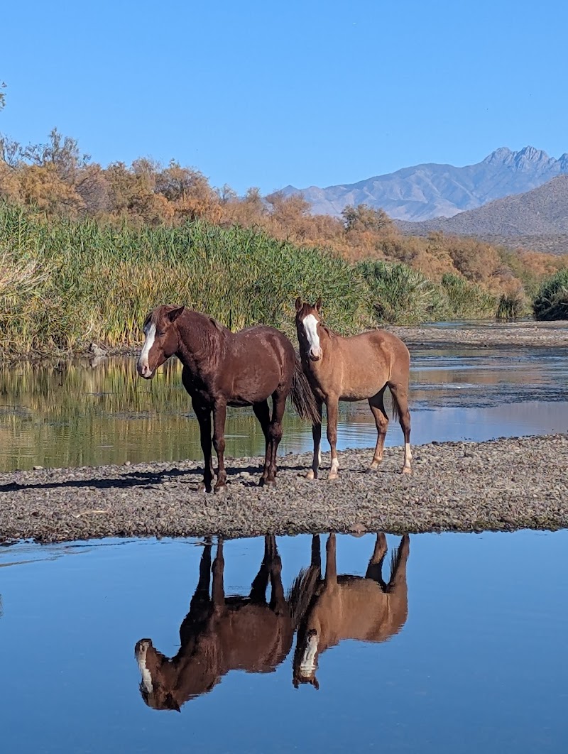 Phon D Sutton Recreation Area image 4