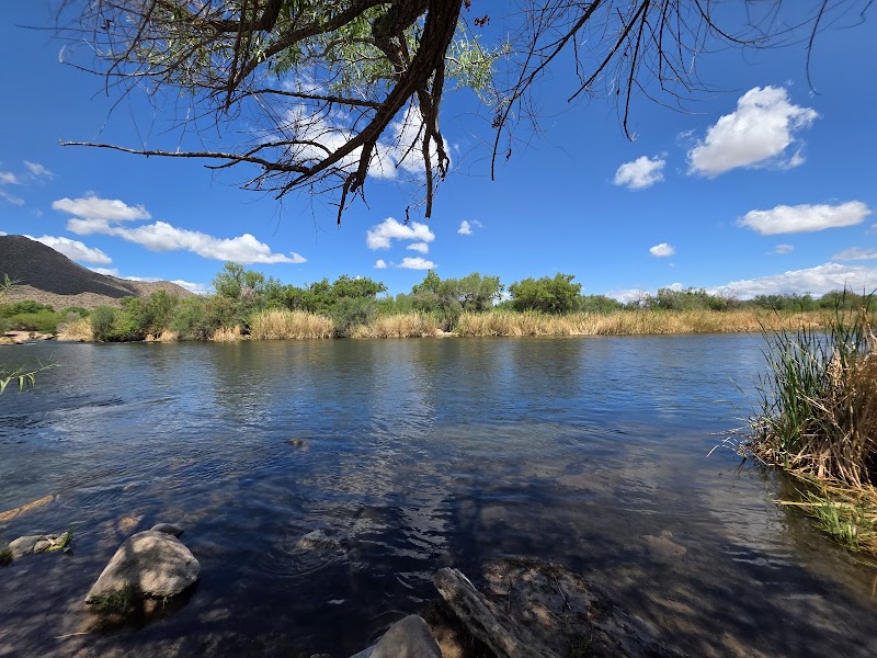 Phon D Sutton Recreation Area image 5