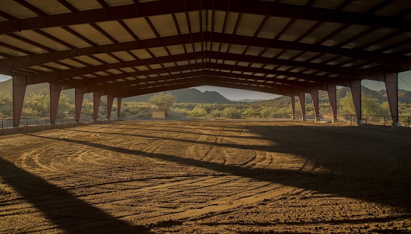 Jeffrey Wilms Training &amp; Management Inc. image 1