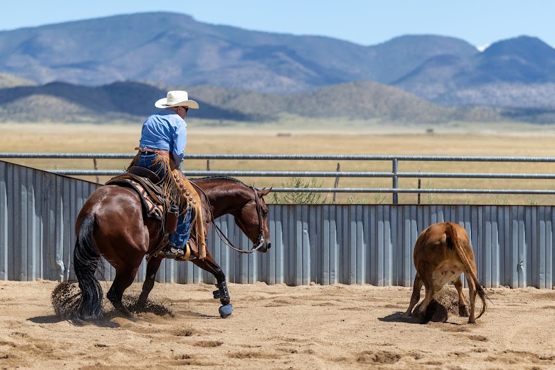 Jeffrey Wilms Training &amp; Management Inc. image 2