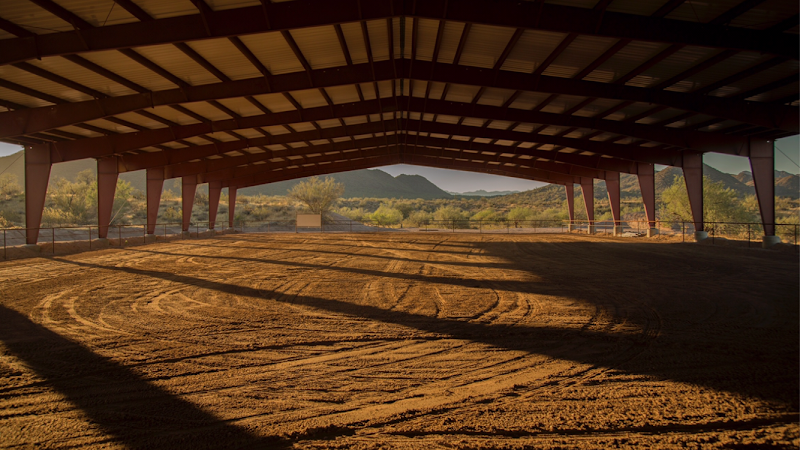 Jeffrey Wilms Training &amp; Management Inc. image 3