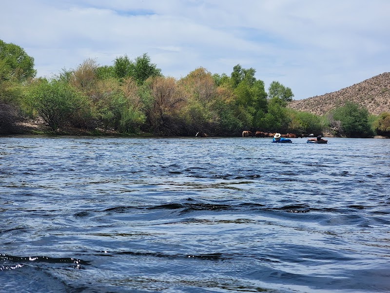 Salt River Tubing Gallery Image