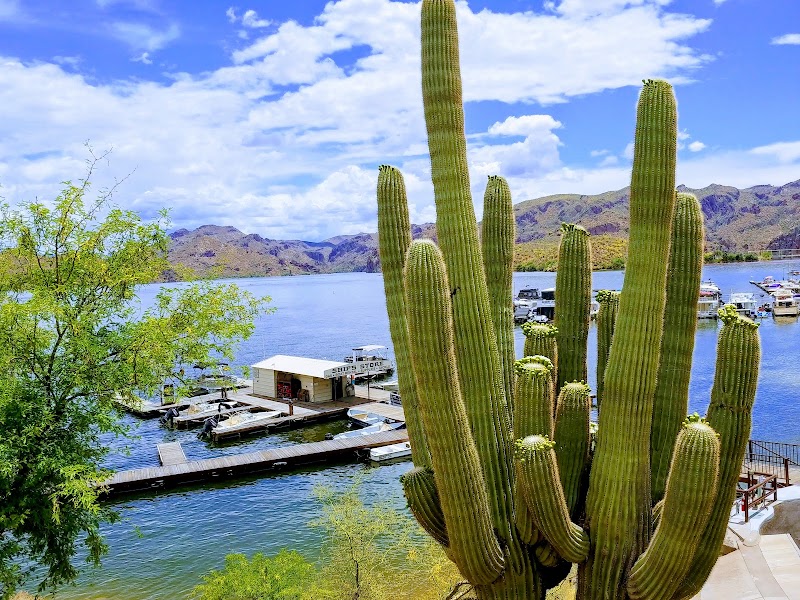 Saguaro Del Norte Recreation Site image 1