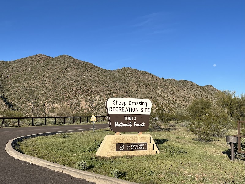 Sheep's Crossing Recreation Site image 1