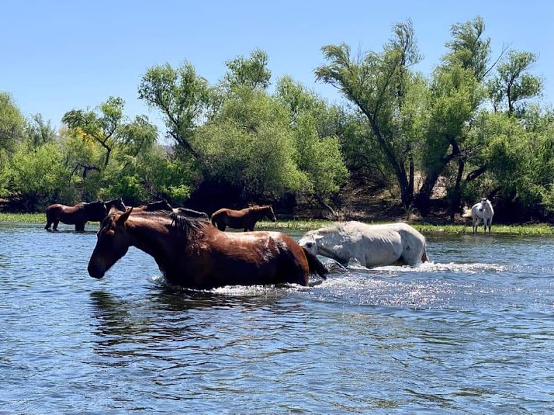 Blue Point Recreation Area image 2