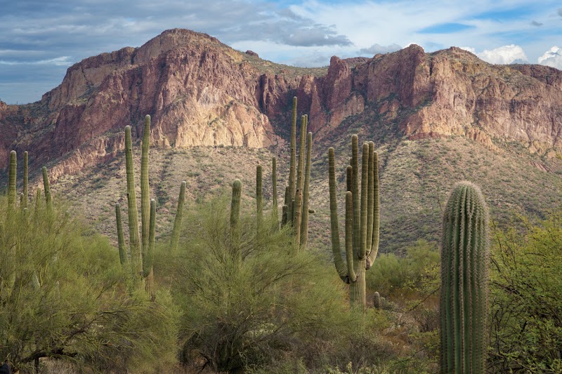 Blue Point Recreation Area image 5