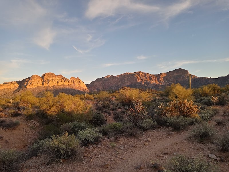 North Gate to Bulldog Canyon OHV Area image 1
