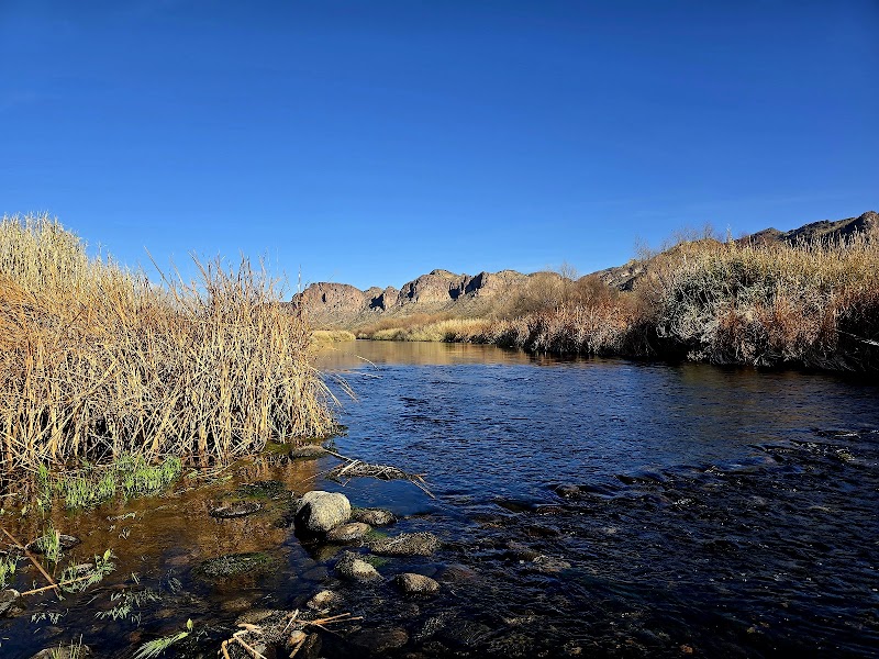 Larry Forbis Group Site image 3