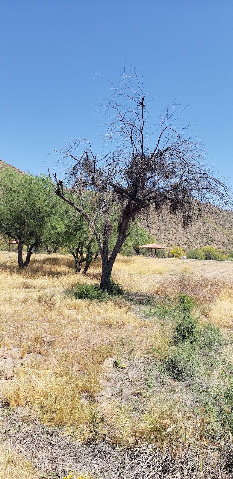 Larry Forbis Group Site image 4