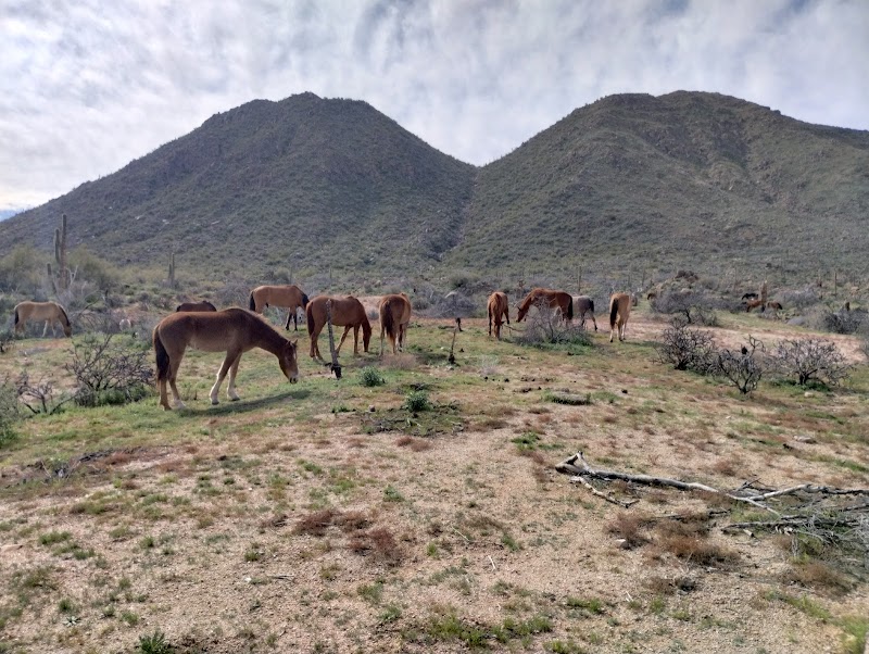 Butcher Jones OHV image 5