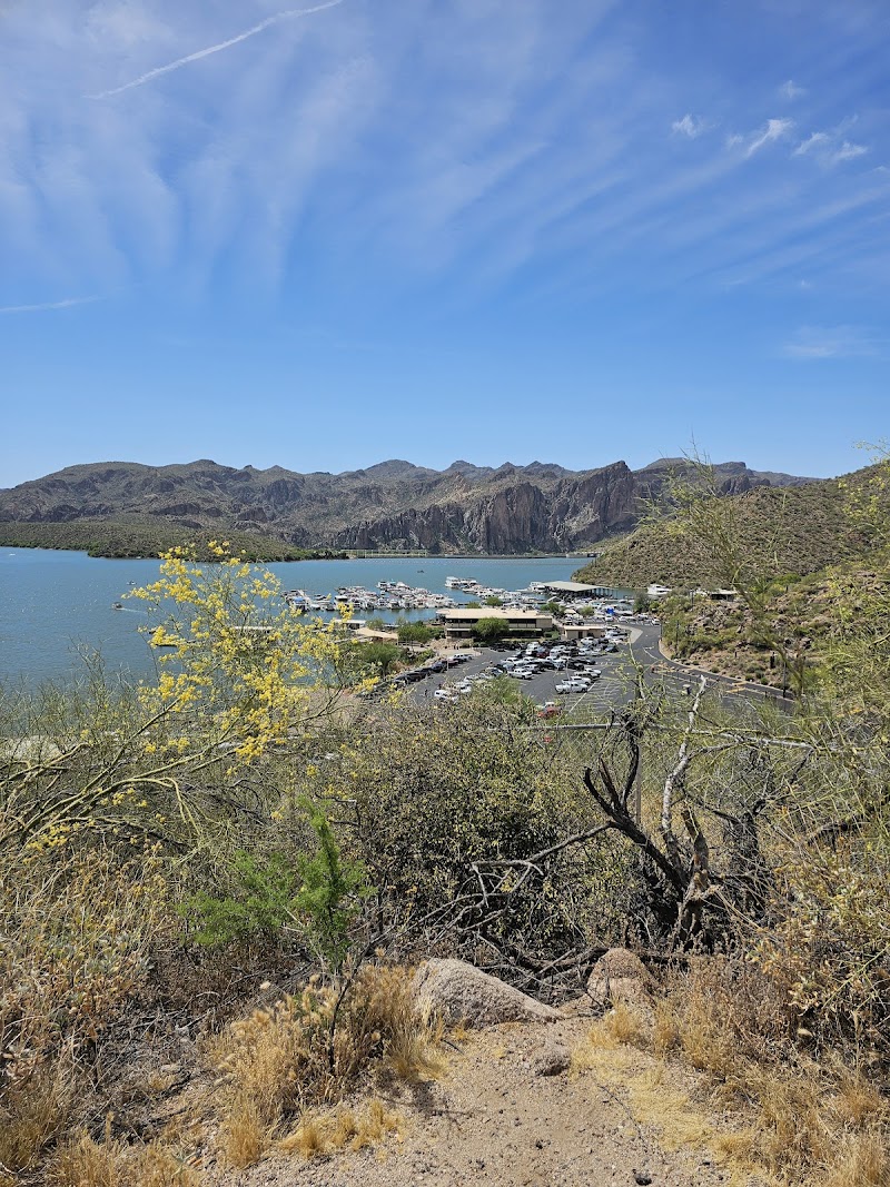 Saguaro Lake Public Boat Ramp image 1