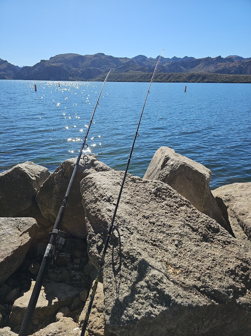 Saguaro Lake Public Boat Ramp image 5