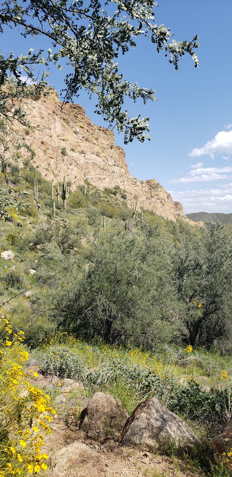 Saguaro Lake Vista Trail image 3