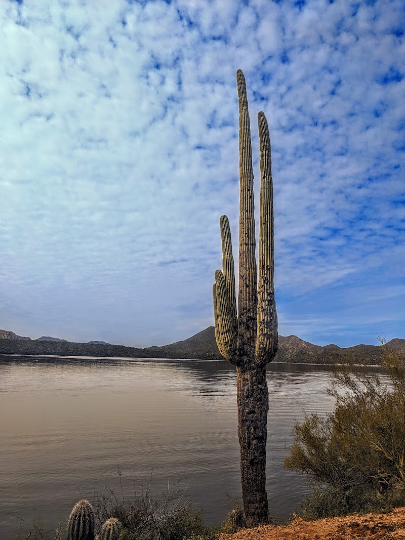 Saguaro Lake Vista Trail image 5