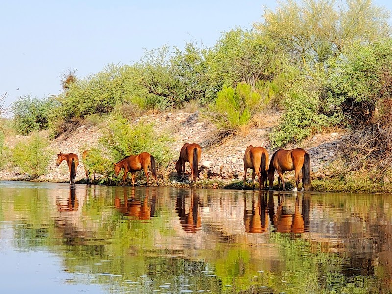 Salt River Tubing Entrance Gallery Image