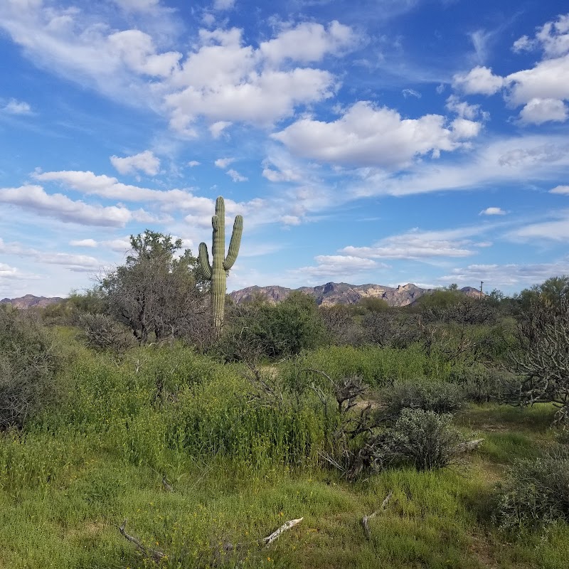 Scorpion Trail Trailhead image 1